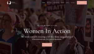 Portfolio 6 300x172 3