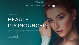 Portfolio 7 300x172 3